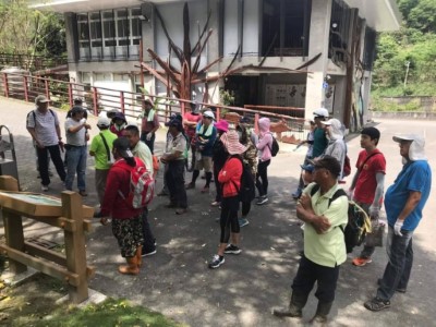 臺東林區管理處同仁發起志願服務 辦理假日護樹修枝工作假期
